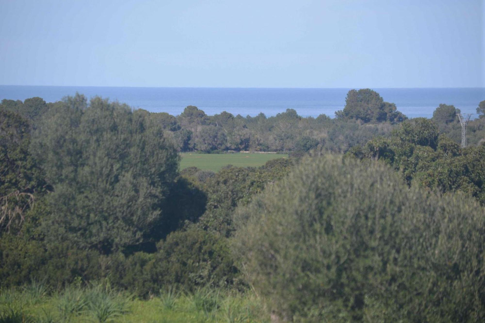 - 45104-4 Mallorca Villa *